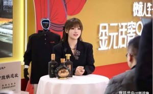 九百年传承邂逅现代创新，2026春糖会刘伶醉以新姿引领传统白酒新征程