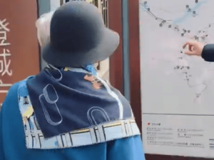 梅耶·马斯克游长城赞“实在令人惊叹” 还分享长城雪糕体验