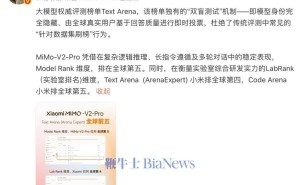 雷军官宣：小米大模型在多维度榜单中斩获全球前五佳绩