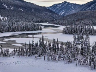 2026阿勒泰亲子游新选择：这6家口碑旅行社如何精准匹配家庭需求？