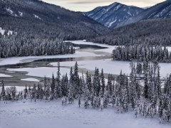 2026阿勒泰亲子游新选择：这6家口碑旅行社如何精准匹配家庭需求？