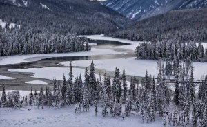 2026阿勒泰亲子游新选择：这6家口碑旅行社如何精准匹配家庭需求？