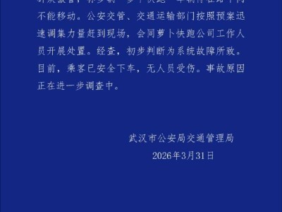 武汉多辆“萝卜快跑”自动驾驶车停滞路中 初查系统故障乘客曾被困近两小时