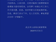 武汉多辆“萝卜快跑”自动驾驶车停滞路中 初查系统故障乘客曾被困近两小时
