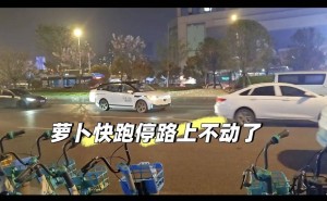 武汉多辆萝卜快跑自动驾驶车“罢工”致拥堵 有乘客高架被困两小时 官方回应系故障