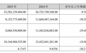 迈瑞医疗2025年业绩下滑，七旬董事长李西廷薪酬缩减超六百万