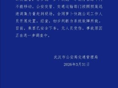 武汉“萝卜快跑”车辆路中停滞 交管部门与公司迅速处置保安全