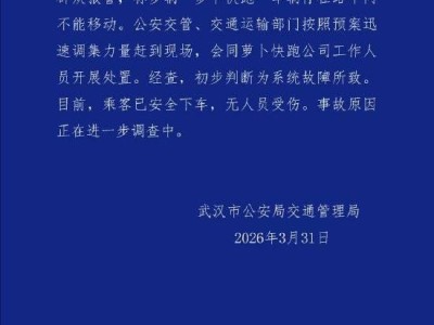 武汉“萝卜快跑”车辆路中停滞 交管部门与公司迅速处置保安全
