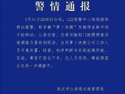 武汉“萝卜快跑”车辆因系统故障停滞 现已恢复 业内称自检机制保安全