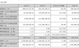 友邦吊顶2025年业绩反转盈利，总经理胡江120万薪酬超越董事长时沈祥