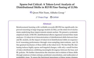 阿里巴巴研究揭示：AI训练中极少数关键位置驱动模型性能跃升