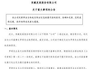 ST西发董事长罗希“失联”，公司紧急安排副董事长代职，股价应声跌停