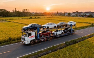 车辆托运如何选？从平台比价到匹配需求，这份攻略教你科学决策