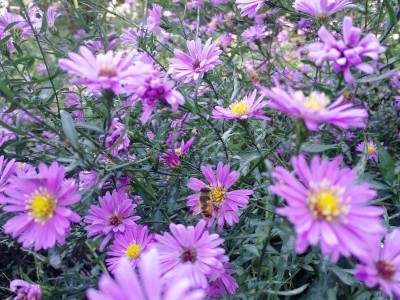 中小企业破局之道：借自媒体东风，实现低成本获客与品牌突围