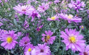 中小企业破局之道：借自媒体东风，实现低成本获客与品牌突围