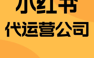 解码小红书广告投放：商业信息生态化编码如何撬动商品销量增长