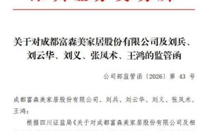 富森美内控存缺陷财务核算不规范，董事长刘兵等五人领警示函