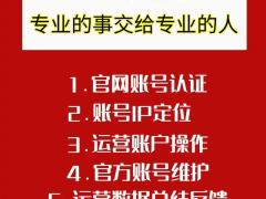 解码小红书内容传播机制：精准策略助力流量高效增长