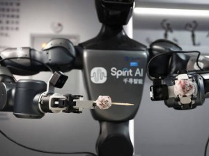 雷军马云“同框”投资！千寻智能月内获30亿融资成百亿独角兽