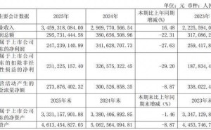 丸美生物2025年营收增长利润下滑 CFO薪酬反超董事长引关注