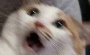 1元起打造“富豪朋友圈”？实况图售卖产业链背后的侵权乱象