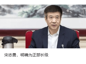 ST西发董事长罗希被留置，公司预重整与重组工作仍推进但存不确定性