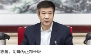 ST西发董事长罗希被留置，公司预重整与重组工作仍推进但存不确定性