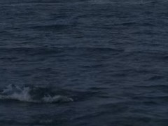 电商增长遇瓶颈利润下滑，阿里“集权”押注AI能否破局重生？