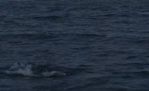 电商增长遇瓶颈利润下滑，阿里“集权”押注AI能否破局重生？