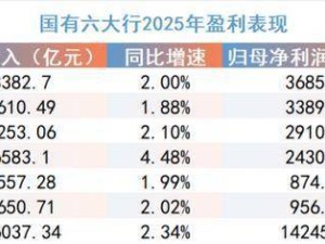 2025年国有六大行薪酬揭秘：子公司“打工皇帝”涌现 董事长薪资平稳