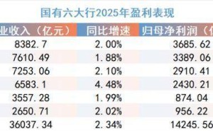 2025年国有六大行薪酬揭秘：子公司“打工皇帝”涌现 董事长薪资平稳