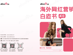 WOTOHub白皮书4.0:解码海外网红营销,洞察行业趋势与实战策略