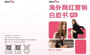 WOTOHub白皮书4.0：解码海外网红营销，洞察行业趋势与实战策略