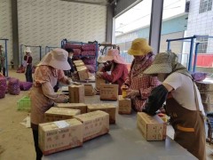 宾川大蒜搭乘电商快车：从田间到舌尖，撬动乡村振兴“金色产业”