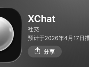 马斯克版“微信”渐露雏形：支付聊天双推进，距成为“默认入口”尚远