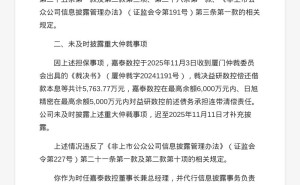 嘉泰数控董事长苏亚帅因违规担保等被警示，相关问题已记入诚信档案