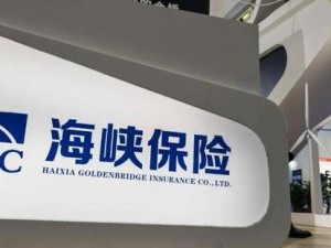 海峡保险人事新局：“人保系”搭档上阵，董事长转总经理谋新篇