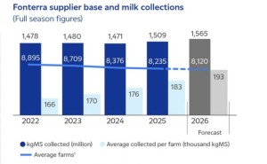 恒天然新帅敲定！Richard Allen将接棒，深耕中国市场再启新程