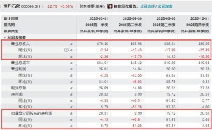 时隔九年营收再降！恒力石化2025年业绩承压，董事长坦言市场寒意与挑战