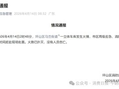 比亚迪深圳坪山园区立体车库深夜起火 火势已控无人员伤亡 股价午间微跌