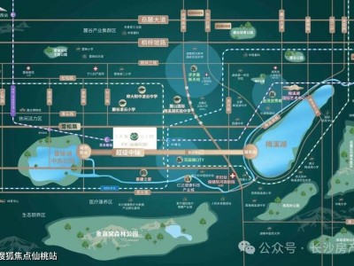 保利梅溪天珺：央企品质现房，双地铁交汇，周边商业医疗配套齐全