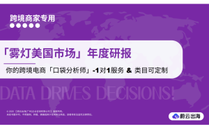 亚马逊美国站雾灯市场深度剖析：量价齐升，新品牌入局正当时