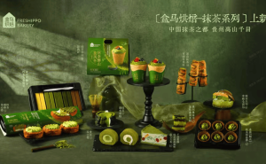 申城春日消费新景：盒马宋韵抹茶飘香，奥乐齐百店平价好物惠民