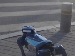 高德機器狗街頭亮相：等紅燈避行人，還能進店自主取奶茶