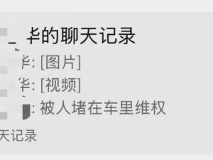 徐洁云回应雷军“被围堵维权”谣言：现场实为车友热情迎接