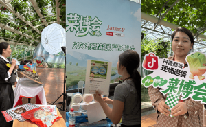 抖音电商牵线搭桥，寿光蔬菜借直播东风从田间直抵全国餐桌