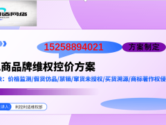 2026品牌電商控價全攻略：從實施路徑到服務商優選指南