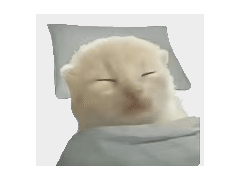 京東AI新探索：實習生挑大梁，大廠搶人從“0到1”培養開始