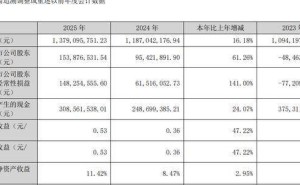 郑中设计2025年业绩亮眼：净利增超六成 董事长郑忠薪酬微涨至300.7万