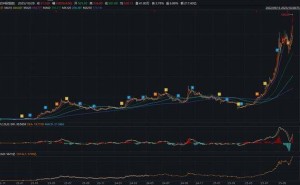 从龙口车间到万亿市值：中际旭创崛起书写山东智造新传奇